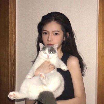 主公莫慌uc版下载